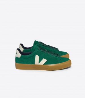 VEJA CAMPO BOLD SUEDE GOLF PIERRE | VJ24206