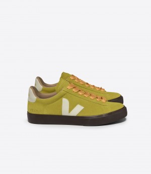 VEJA CAMPO BOLD SUEDE LIQUOR PIERRE | VJ24503