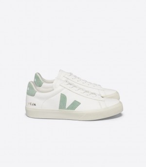 VEJA CAMPO LEATHER WHITE MATCHA | VJ24197