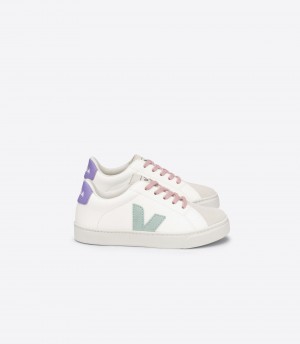 VEJA ESPLAR LACES LEATHER WHITE MATCHA LAVANDE | VJ24811