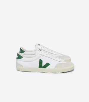 VEJA VOLLEY CANVAS WHITE EMERAUDE | VJ24468