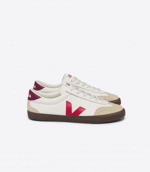 VEJA VOLLEY LEATHER WHITE PEKIN BARK | VJ24178